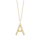 JEWELRY Poppy Rae Initial Necklace in Yellow Gold Dana Rebecca