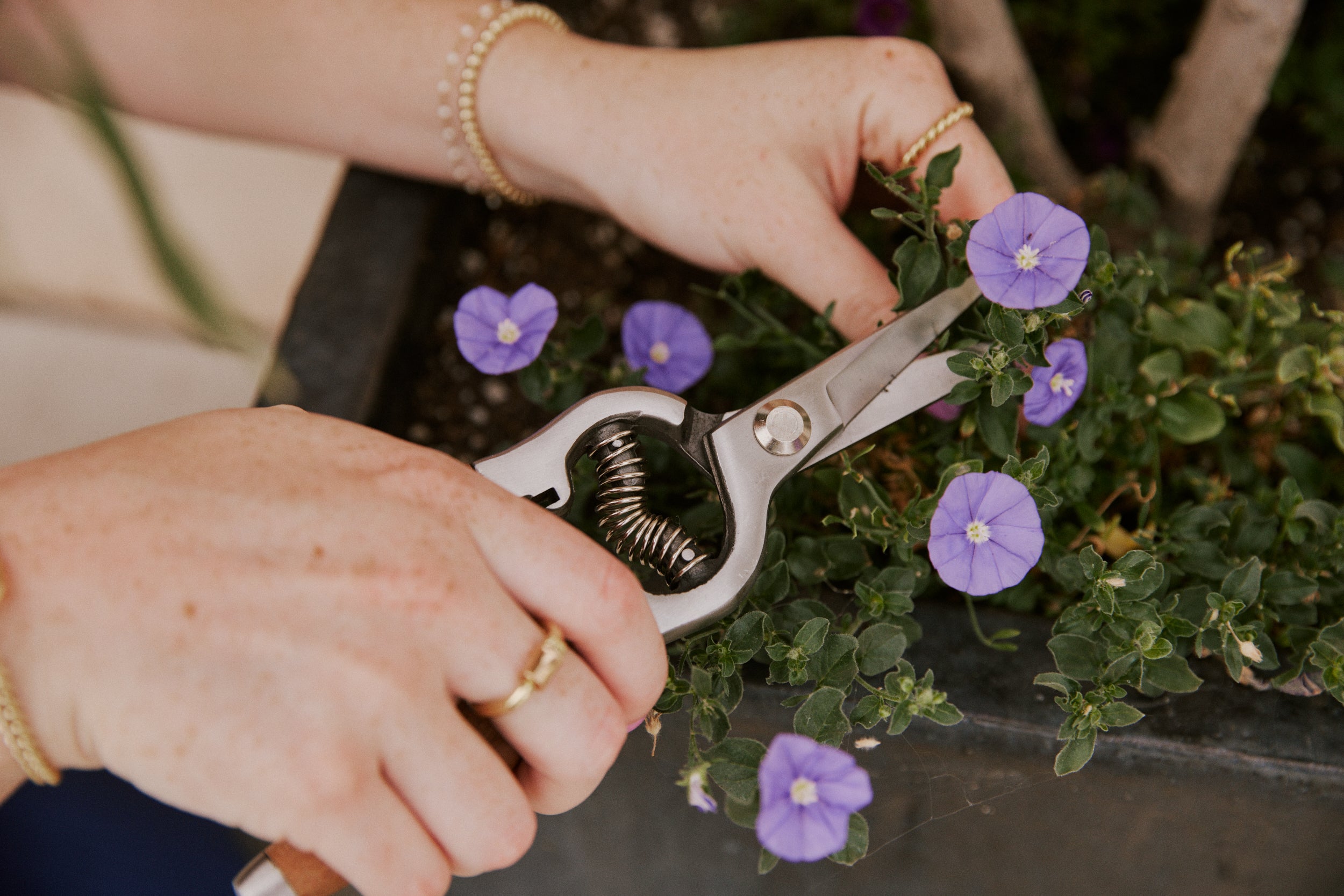 in the garden jewelry image