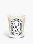 CANDLES/HOME FRAGRANCE SCENTED CANDLE Diptyque