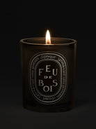 CANDLES/HOME FRAGRANCE Diptyque Large Grey Scented Candle in Feu De Bois DIPTYQUE