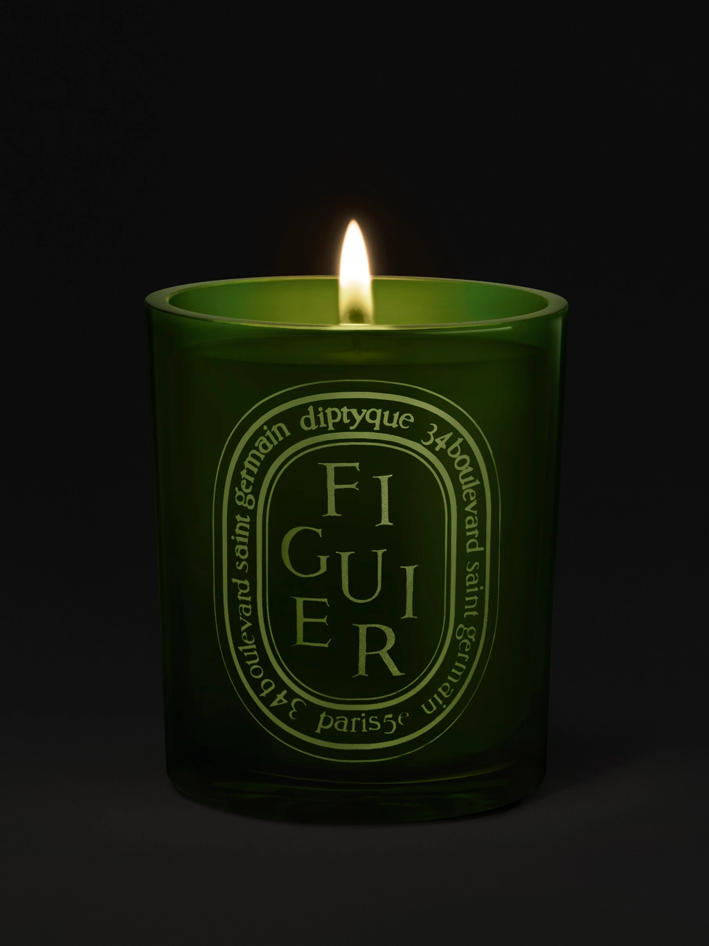 CANDLES/HOME FRAGRANCE Large Green Scented Candle in Figuier Diptyque