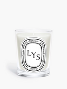 CANDLES/HOME FRAGRANCE SCENTED CANDLE Diptyque