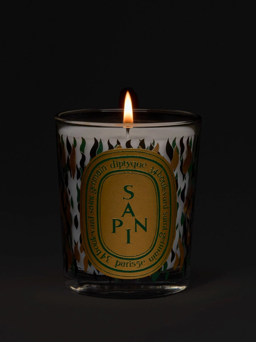 Candles Diptyque Limited Edition Scented Candle in Sapin Diptyque