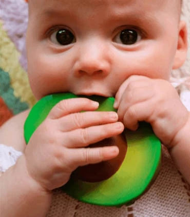 Toys Oli & Carol Arnold the Avocado Bath Toy Oli & Carol