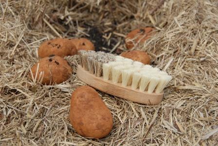 Market Earth and Nest Vegetable Brush Heaven in Earth